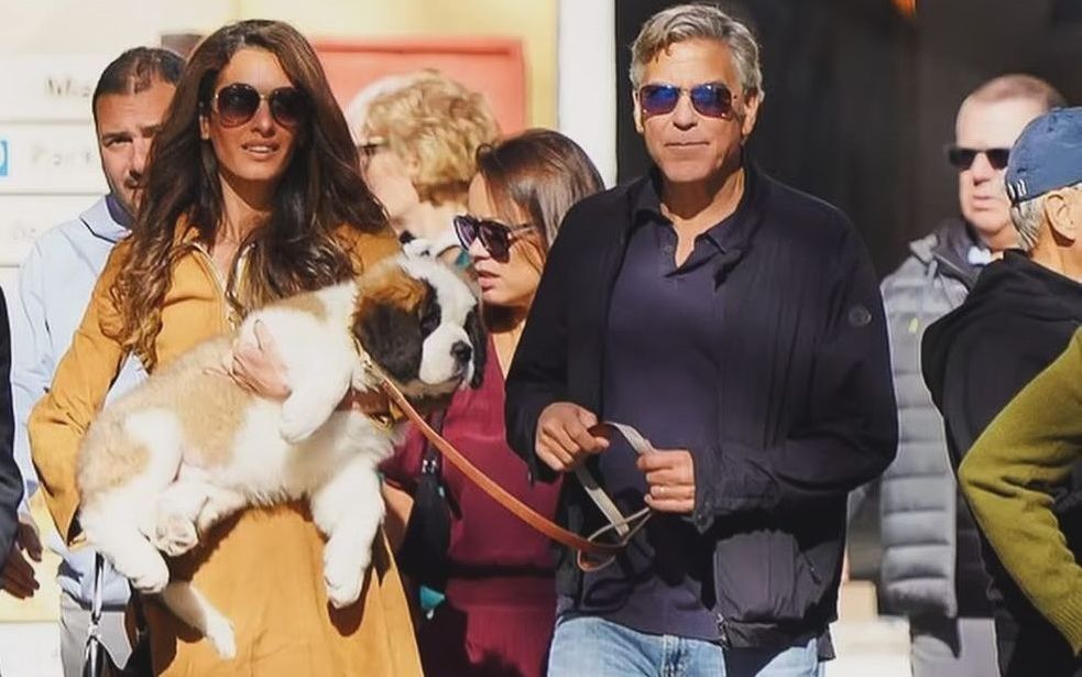 Amal și George Clooney, probleme &icirc;n căsnicie. Un apropiat al vedetelor a povestit cum le-a fost afectată relația de cuplu